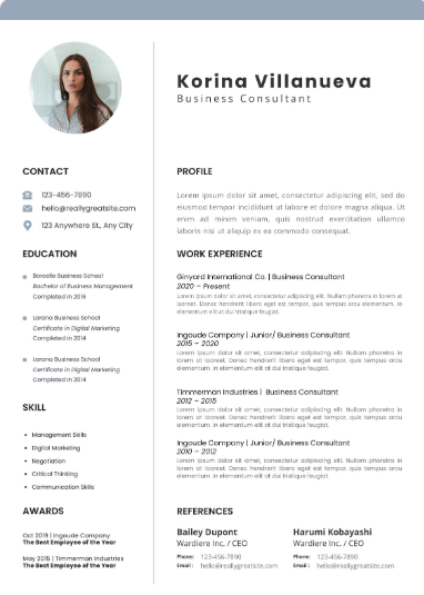 Professional CV Sample 41